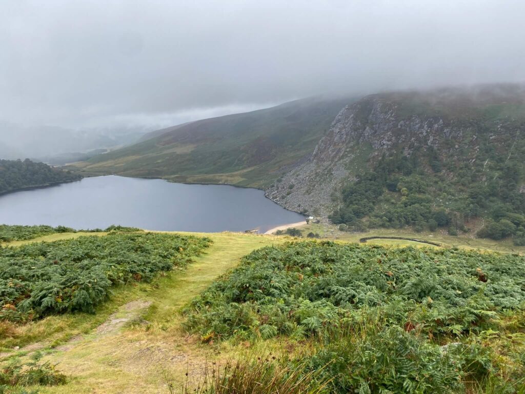 The Old Military Road and Sally’s Gap