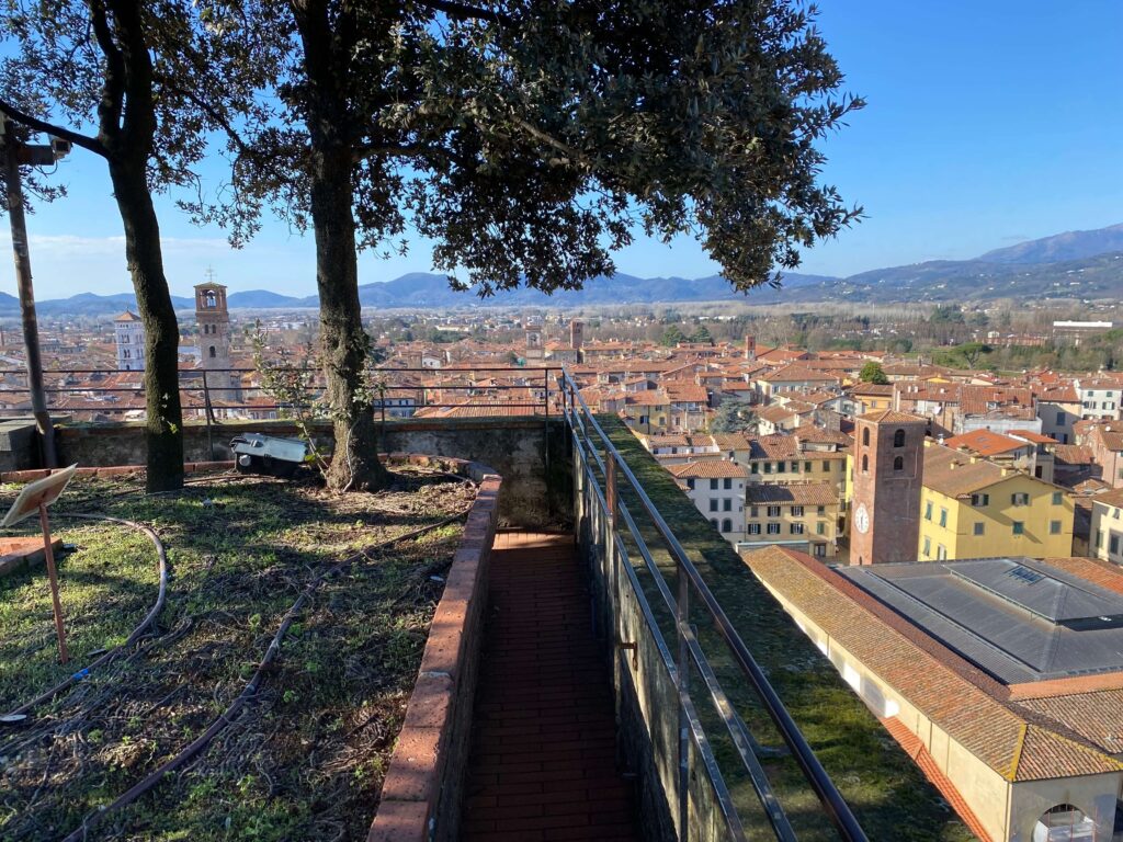 Guinigi's Tower in Lucca, Italy Best Towers and Domes to Climb in Italy